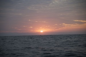 _G4Z1848 _G4Z1848