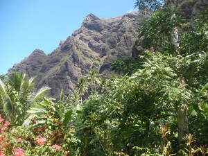 SANY0357 SANY0357