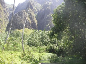 SANY0361 SANY0361