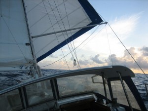 IMG_2854 IMG_2854