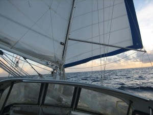 IMG_2860 IMG_2860
