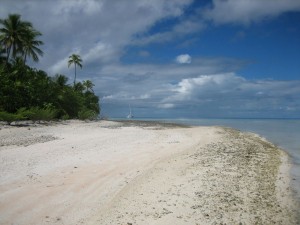 IMG_2902 IMG_2902