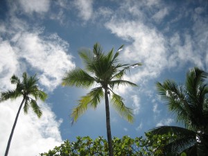 IMG_2904 IMG_2904