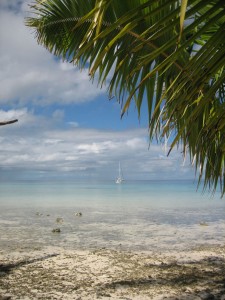 IMG_2909 IMG_2909
