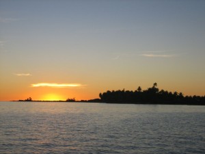 IMG_2981