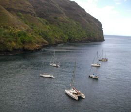 SANYO DIGITAL CAMERA