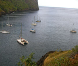 SANYO DIGITAL CAMERA