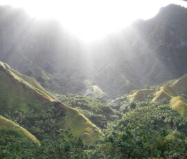 SANYO DIGITAL CAMERA