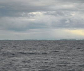 SANYO DIGITAL CAMERA