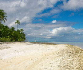 SANYO DIGITAL CAMERA