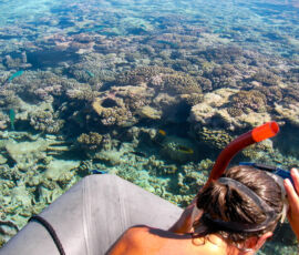 SANYO DIGITAL CAMERA