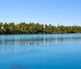 SANYO DIGITAL CAMERA