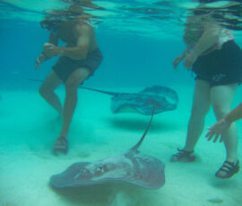 SANYO DIGITAL CAMERA