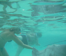 SANYO DIGITAL CAMERA