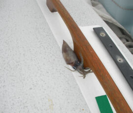 SANYO DIGITAL CAMERA