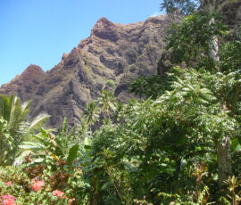 SANYO DIGITAL CAMERA