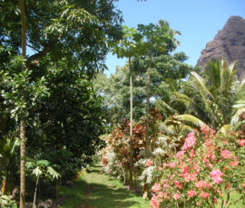 SANYO DIGITAL CAMERA