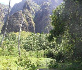 SANYO DIGITAL CAMERA