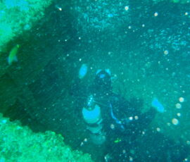 OLYMPUS DIGITAL CAMERA