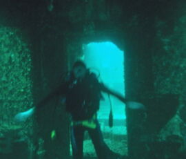 OLYMPUS DIGITAL CAMERA