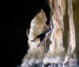 SANYO DIGITAL CAMERA