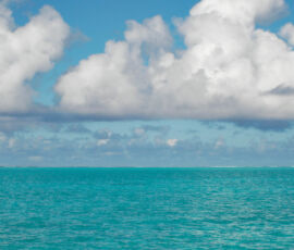 SANYO DIGITAL CAMERA