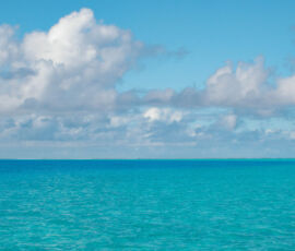 SANYO DIGITAL CAMERA