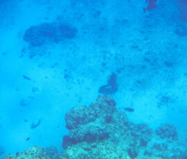 SANYO DIGITAL CAMERA