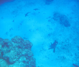 SANYO DIGITAL CAMERA