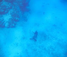 SANYO DIGITAL CAMERA